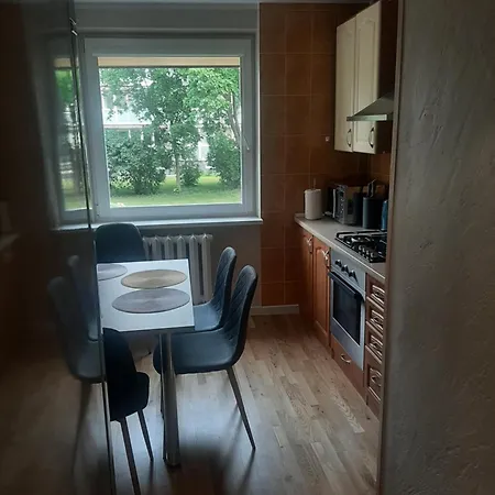 דירה Butas Miesto Centre פלאנגה